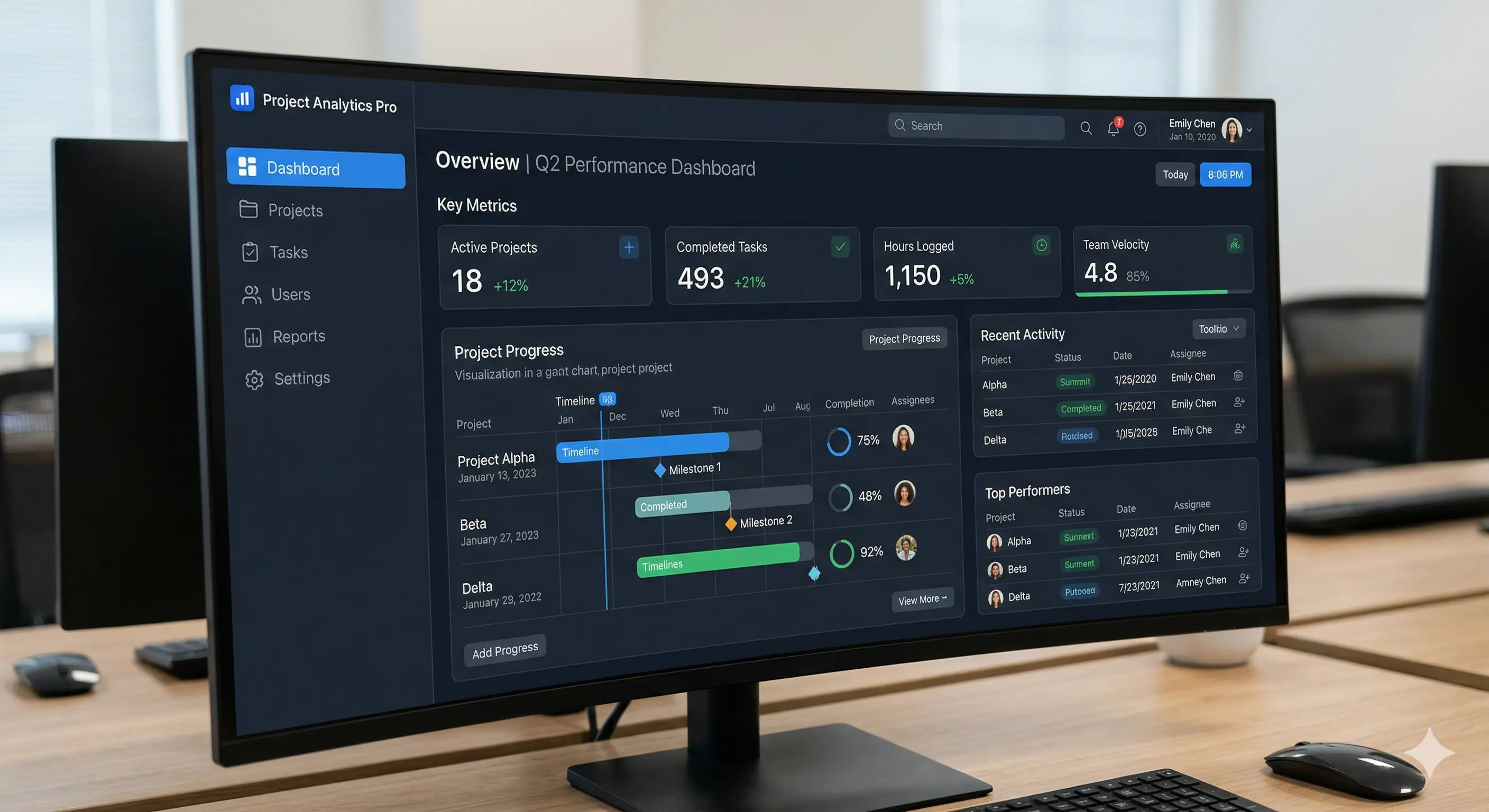 Professional website design showcase